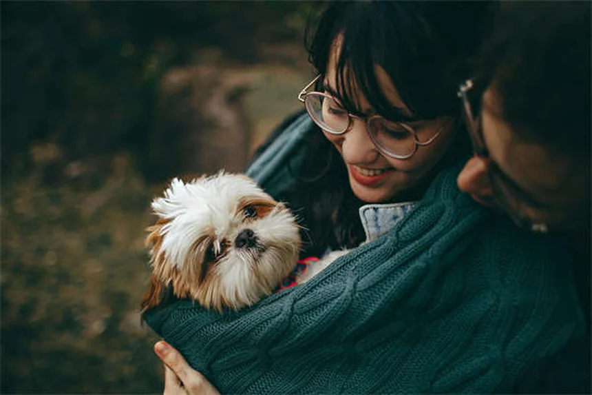 Hundealter berechnen: So alt ist dein Hund in Menschenjahren